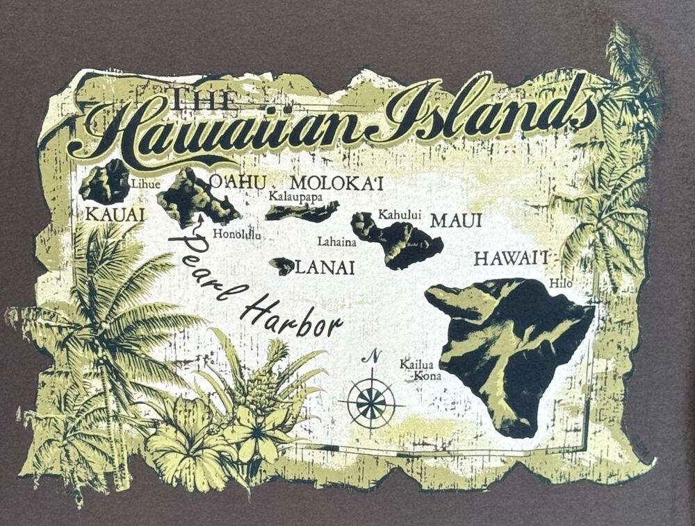 Alstyle Gray Large T-shirt Hawaiian Islands Graphic Tee